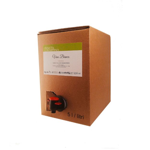 Immagine di TENUTA SAN MARTINO V.BIANCO BIB LT.5 (CF 1)