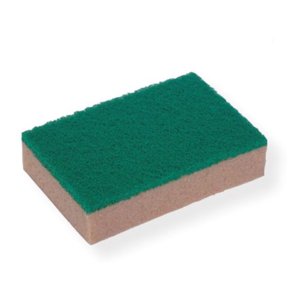 Immagine di SPONTEX SPUGNA ASTREE 54 ACC.GIALLO/VERDE (10PZ)    